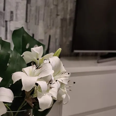 Arena - Own Sauna, In The Heart Of Near To Nokia Arena *