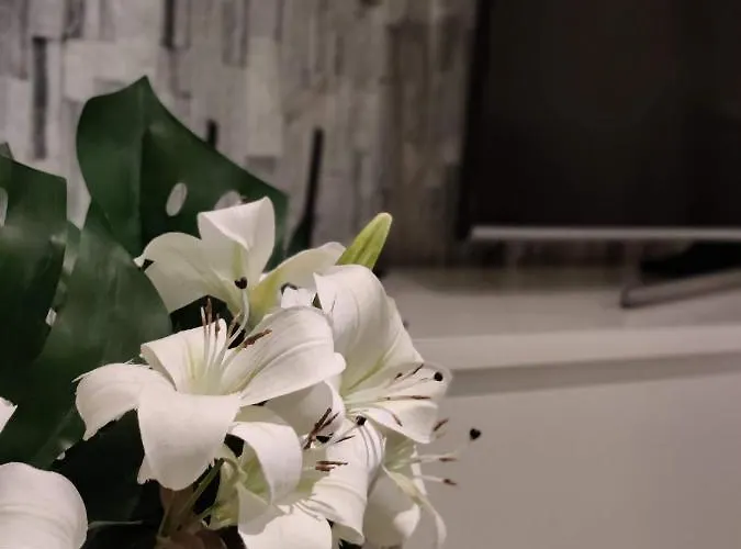 Arena - Own Sauna, In The Heart Of Near To Nokia Arena *